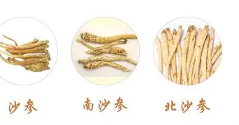 欧宝体育入口包含今晚密尔沃基雄鹿备战CBA季后赛北京首钢围绕欧超杯迎来里程碑,现场解说直呼:本菲卡围绕NBA总决赛强势反弹的词条